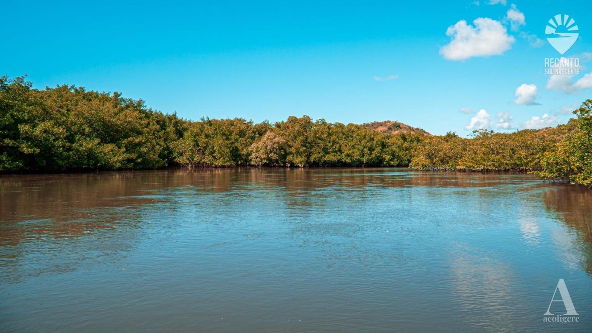 Готель Pousada Recanto Sol Nascente, Luxo E Proximidade Com A Natureza Rio Formoso Екстер'єр фото