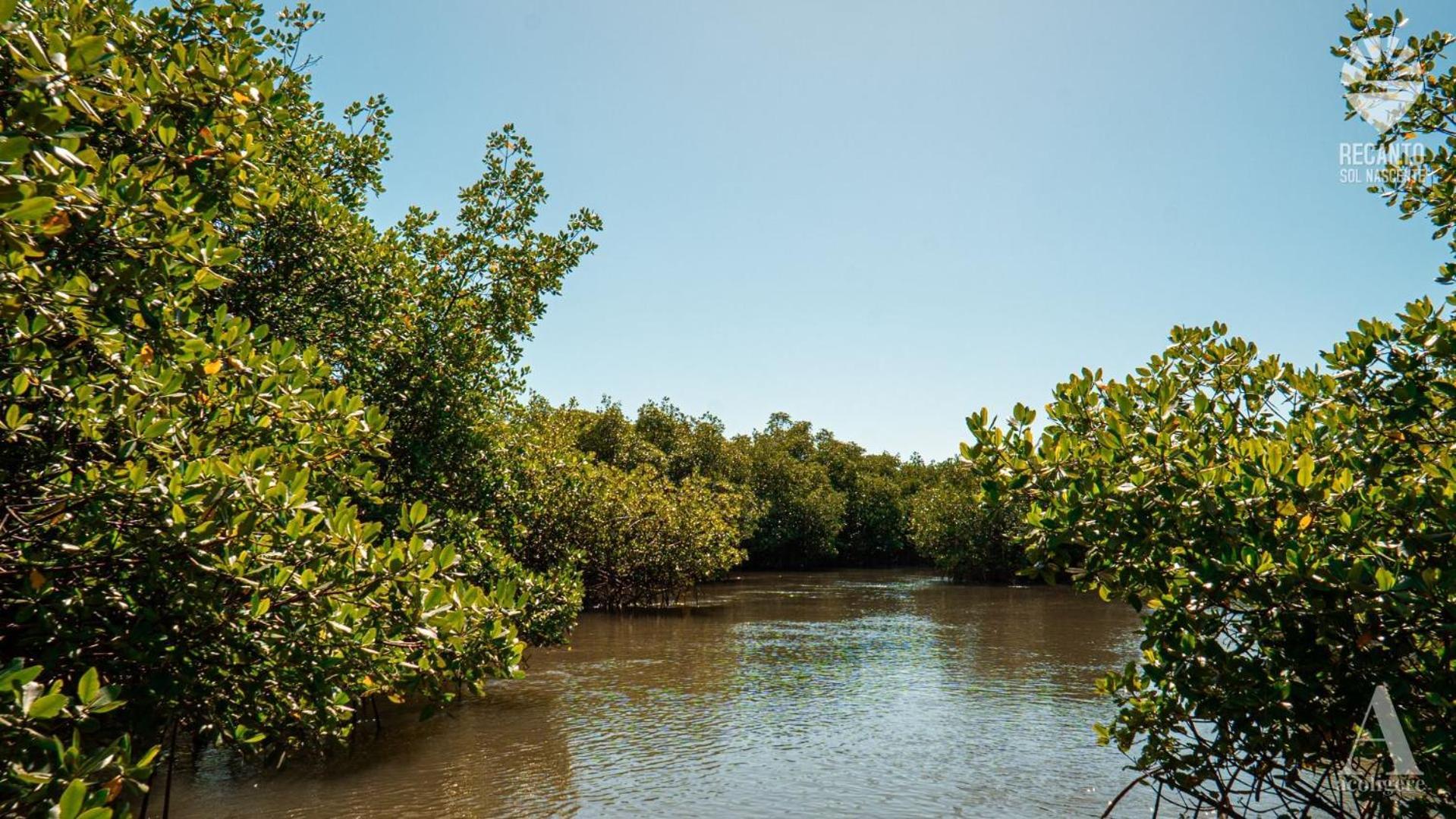 Готель Pousada Recanto Sol Nascente, Luxo E Proximidade Com A Natureza Rio Formoso Екстер'єр фото