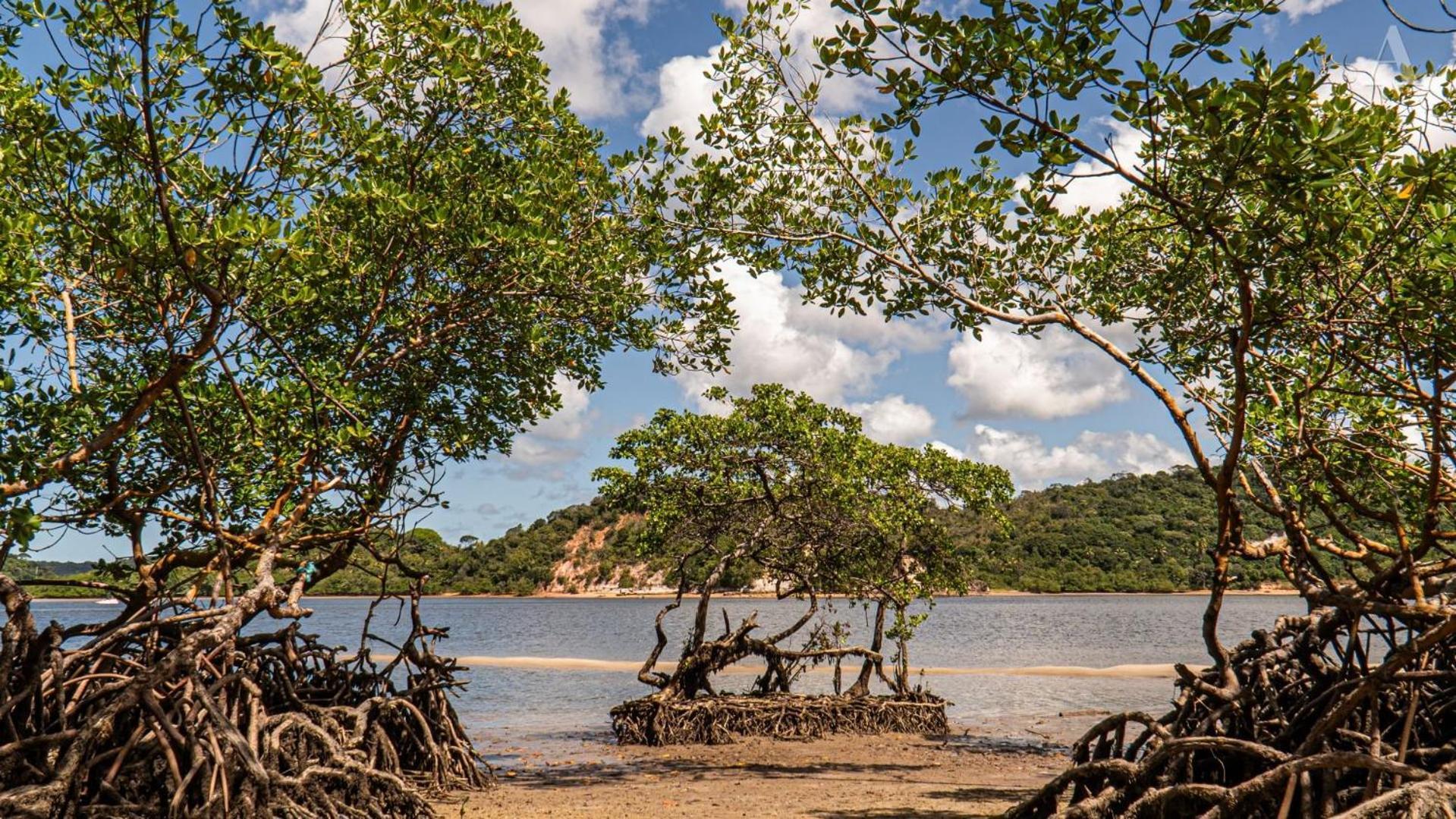 Готель Pousada Recanto Sol Nascente, Luxo E Proximidade Com A Natureza Rio Formoso Екстер'єр фото