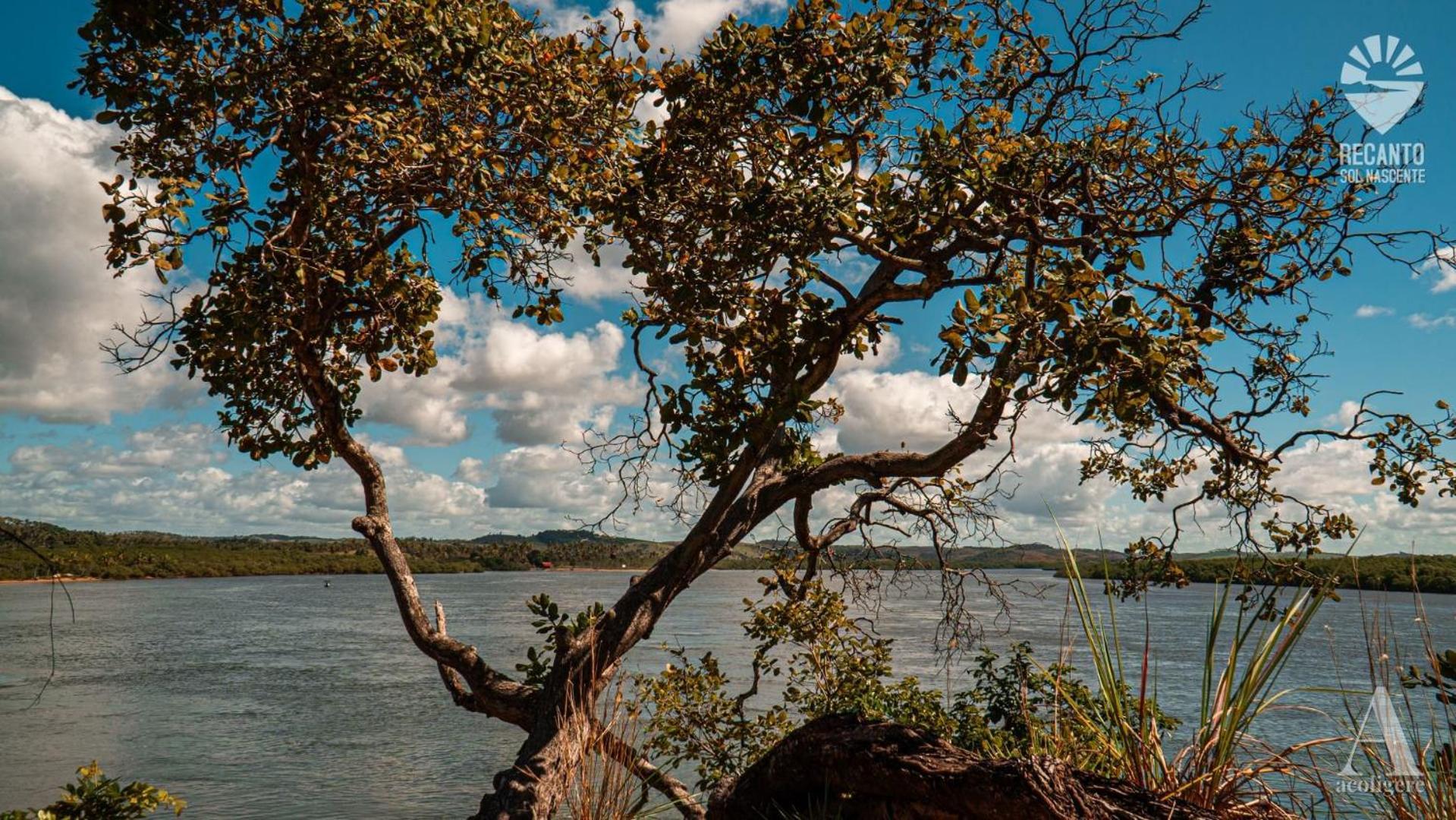 Готель Pousada Recanto Sol Nascente, Luxo E Proximidade Com A Natureza Rio Formoso Екстер'єр фото